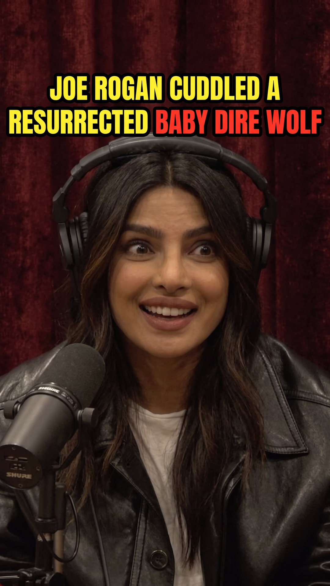 Joe Rogan Cuddled a Resurrected Baby Dire Wolf
